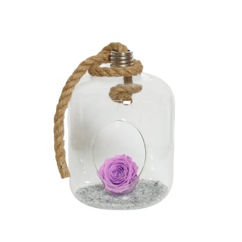 Beauty And The Beast  For Ever Purple Glass Lamp